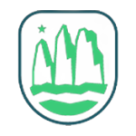 Copa de la Liga 