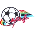 Naegohyang FC