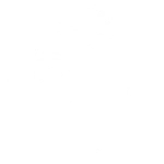 Leones de Centro Habana
